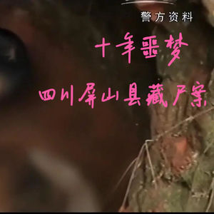 EP69.十年噩梦-四川屏山县藏尸案