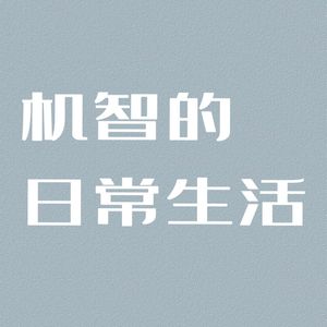 机智的日常生活