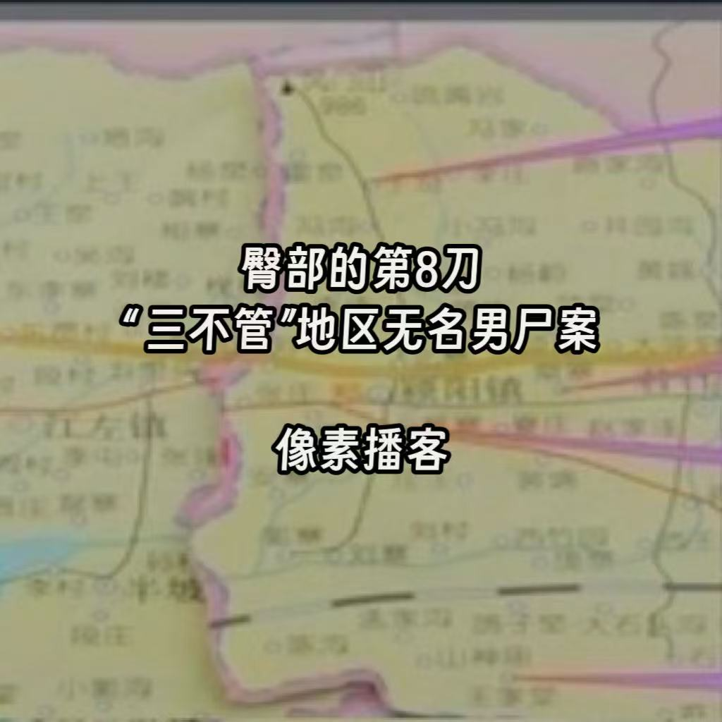 53.臀部的第8刀：“三不管”地区无名男尸案 episode artwork
