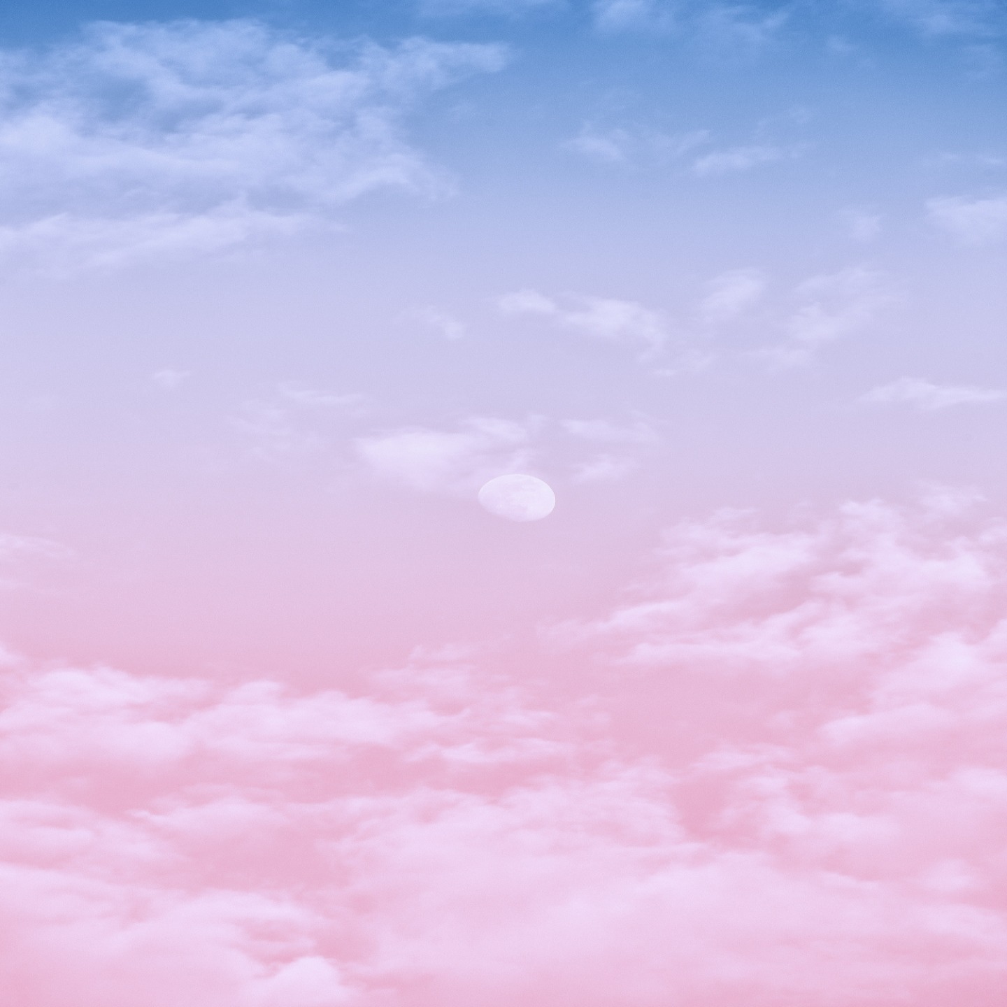 Miracle Life·真我之旅