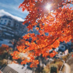 馋鬼流水账 | 东京浅草、群马前桥、草津温泉、伊香保温泉吃吃喝喝，日元账单公布！