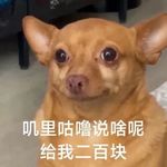 不当甜妹很多年