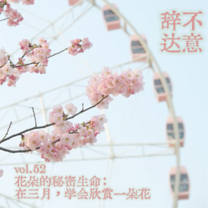 vol.52 花朵的秘密生命：在三月，学会欣赏一朵花