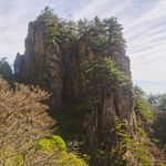 清风浮水