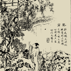 第634期:聊聊聊斋48:《婴宁》(下)——婴宁的笑声背后其实挺悲凉的