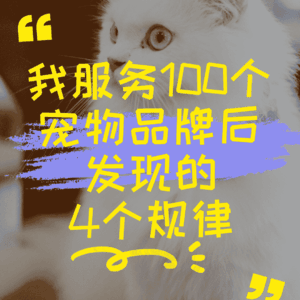 我服务100个宠物品牌后发现的4个规律