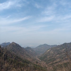 鬼台第488期:峡谷的软肋