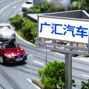 国内最大汽车经销商锁定退市