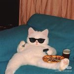 累了困了就睡觉ing