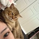 晚安糯糯