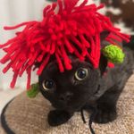 小辣椒的大老爷