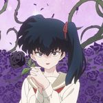 王香菇