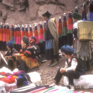 EP6:乡见2024口述史工作坊(第十期)|郝瑞口述实录:美国“木嘎”盛赞的“高山图式”