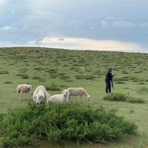01. 从《我的阿勒泰》聊起，聊聊我们的乌兰察布