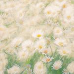 周周正在编辑中