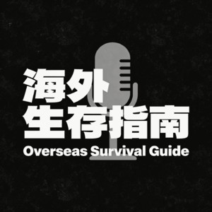 Chinamaxxing 爆火海外！海外华人的身份认同与新机遇