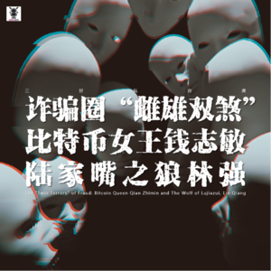 Vol. 334 三好私房课 - 诈骗圈“雌雄双煞”：比特币女王钱志敏，陆家嘴之狼林强