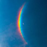 DearMoonMoon