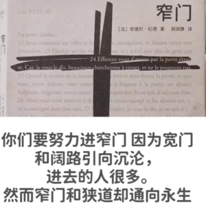 《窄门》回避型依恋必读？当我们谈论爱情的时候我们在谈论什么