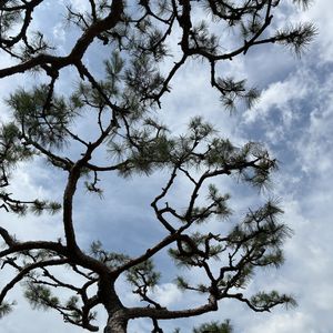 11.2首尔釜山旅行实录