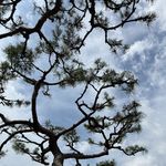 11.2首尔釜山旅行实录