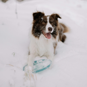 EP09 辟邪不用蒜，效果减一半！留给老己的避邪好物清单