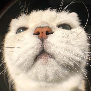 podcaster-avatar