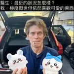 我是肉丝儿