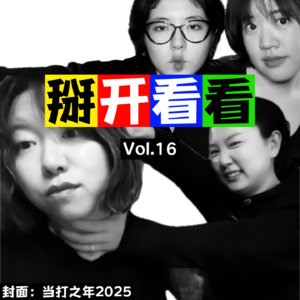 Vol.16 掰开看看2024：好吃好睡好辛苦，没病没疯没暴富