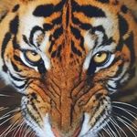 富贵清闲平安幸福