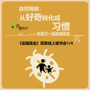 观察自然：从好奇转化为习惯《追随昆虫》线上读书会1/4