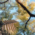 我能考上理想大学