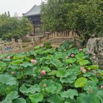 小乐乐打小怪兽