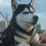 护眼联盟-能拿哥