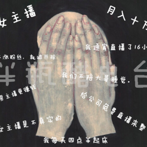 女主播：月入十万，我还是很孤独