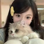 vera顺