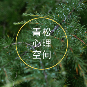 Vol. 15 父子关系 | 工具人父亲 vs. 共情时代：中国男性正在经历的双轨撕裂