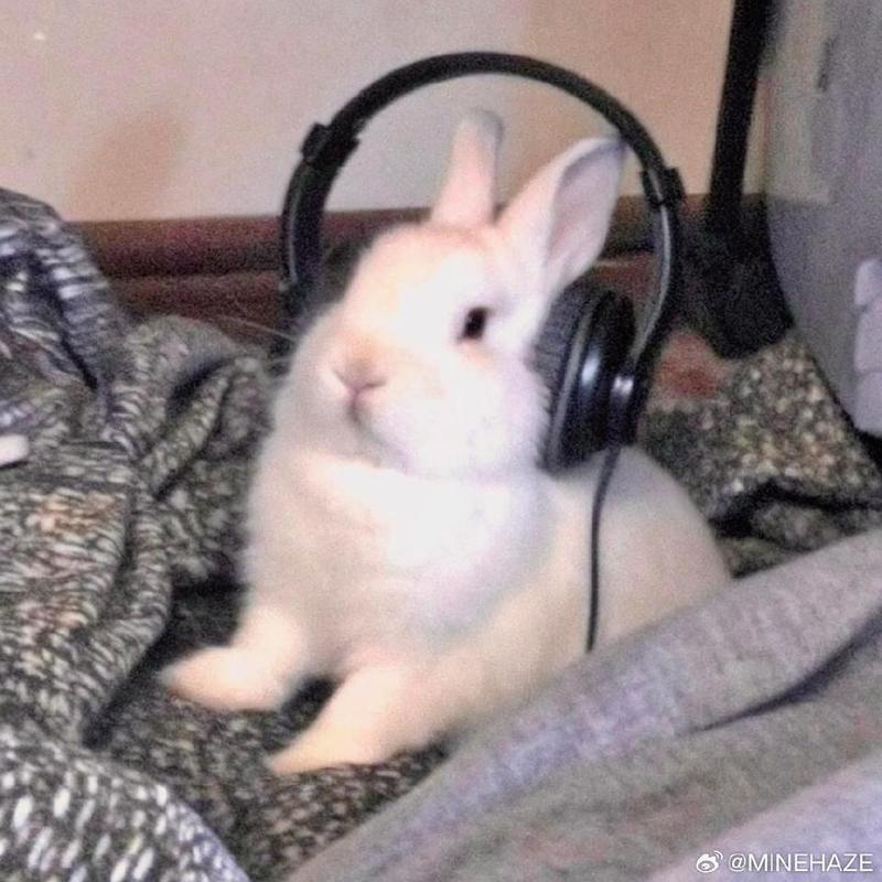podcast-avatar