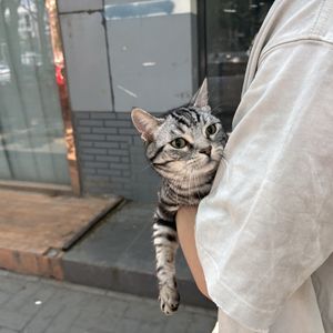 南菜园的菜园