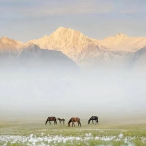 VOL382.上班第4天被销售主管劝退，紧接着我的副业拿下30万大单。