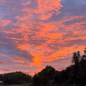 Vol.17 经历生离死别，我想让生命的三万天更有意义