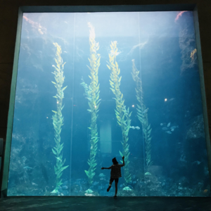 018.叶子x聊遇电台：2018年的珍贵礼物“有人走的匆忙，有人爱的甜美”