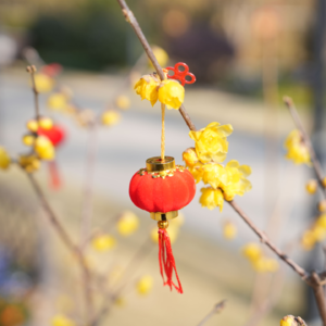 No.9 Winter丨爱与雪花融化在掌心