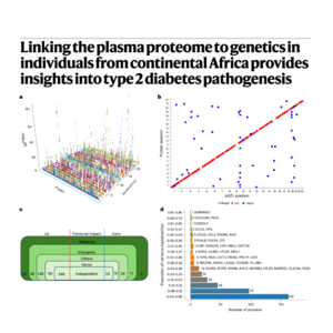 522-非洲裔人群血浆蛋白组与2型糖尿病遗传关联研究