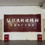 024 - 充满意外的河南兰考