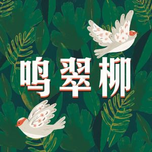 鸣翠柳FM