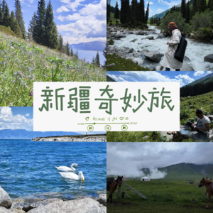 大上海第109夜:建议新疆旅行纳入打工人医保