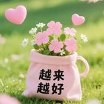 岁岁安暖May