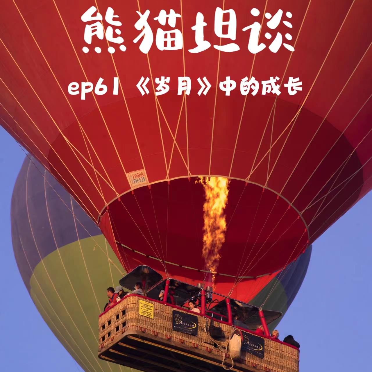 cover of episode 61.后悔没早看的经典职场剧《岁月》