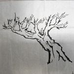 清华菜农